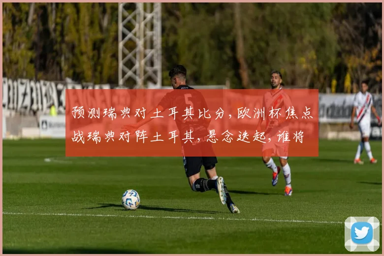 预测瑞典对土耳其比分,欧洲杯焦点战瑞典对阵土耳其,悬念迭起,谁将脱颖而出