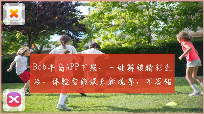 Bob半岛APP下载，一键解锁精彩生活，体验智能娱乐新境界，不容错过