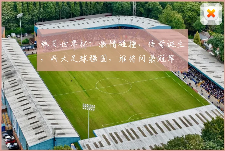 韩日世界杯：激情碰撞，传奇诞生，两大足球强国，谁将问鼎冠军