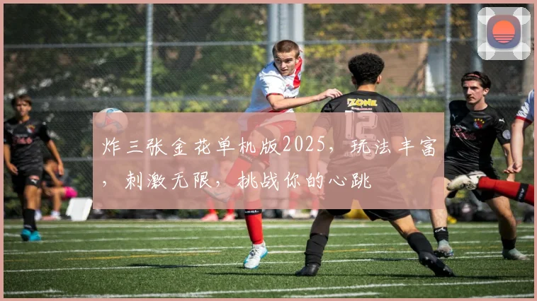 炸三张金花单机版2025，玩法丰富，刺激无限，挑战你的心跳