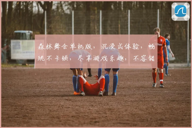 森林舞会单机版，沉浸式体验，畅玩不卡顿，尽享游戏乐趣，不容错过